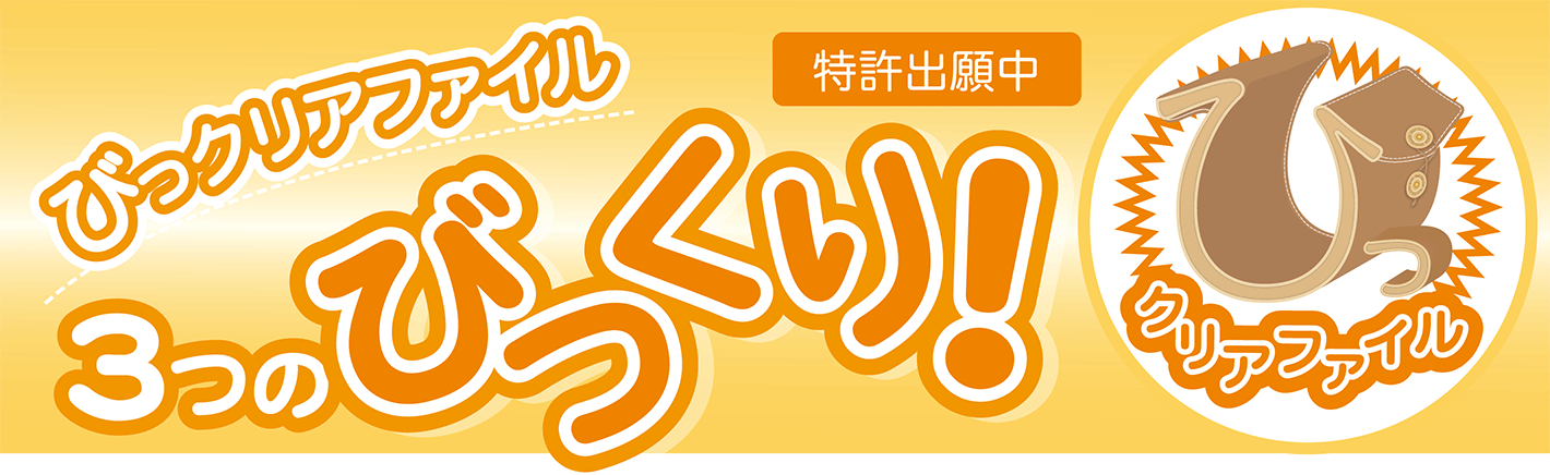 びっクリアファイル説明1