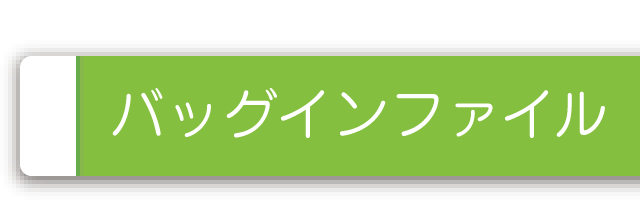 バッグインファイル